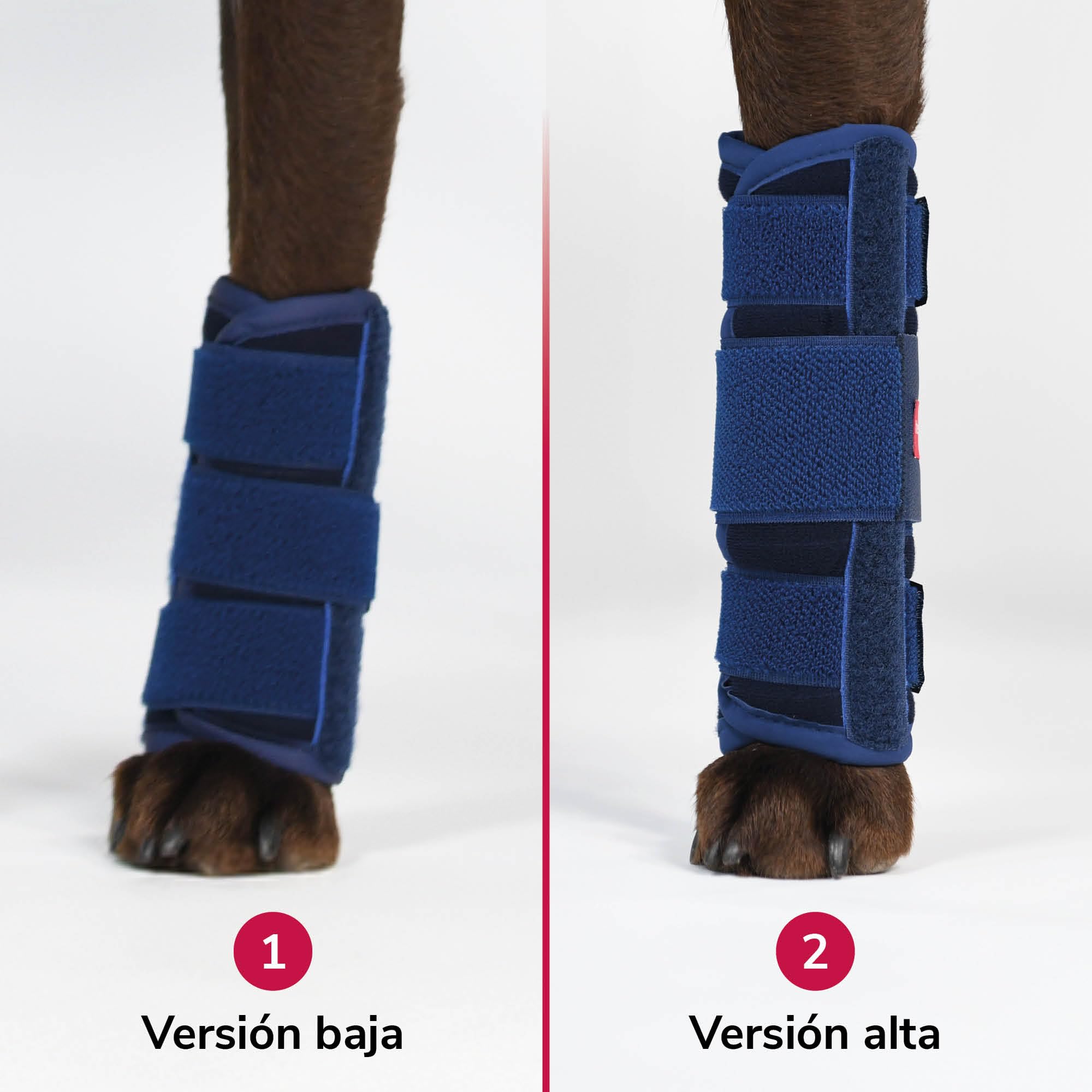 Vendaje Carpiano Bajo de Espuma Talla XL para Perros & Gatos con Férulas para la Estabilización de la Hiperextensión Carpiana & Ayuda en Lesiones Agudas del Carpo