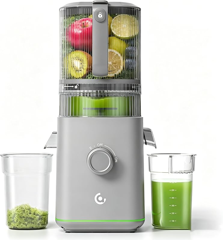 VANDISELL Juicer Bottle
