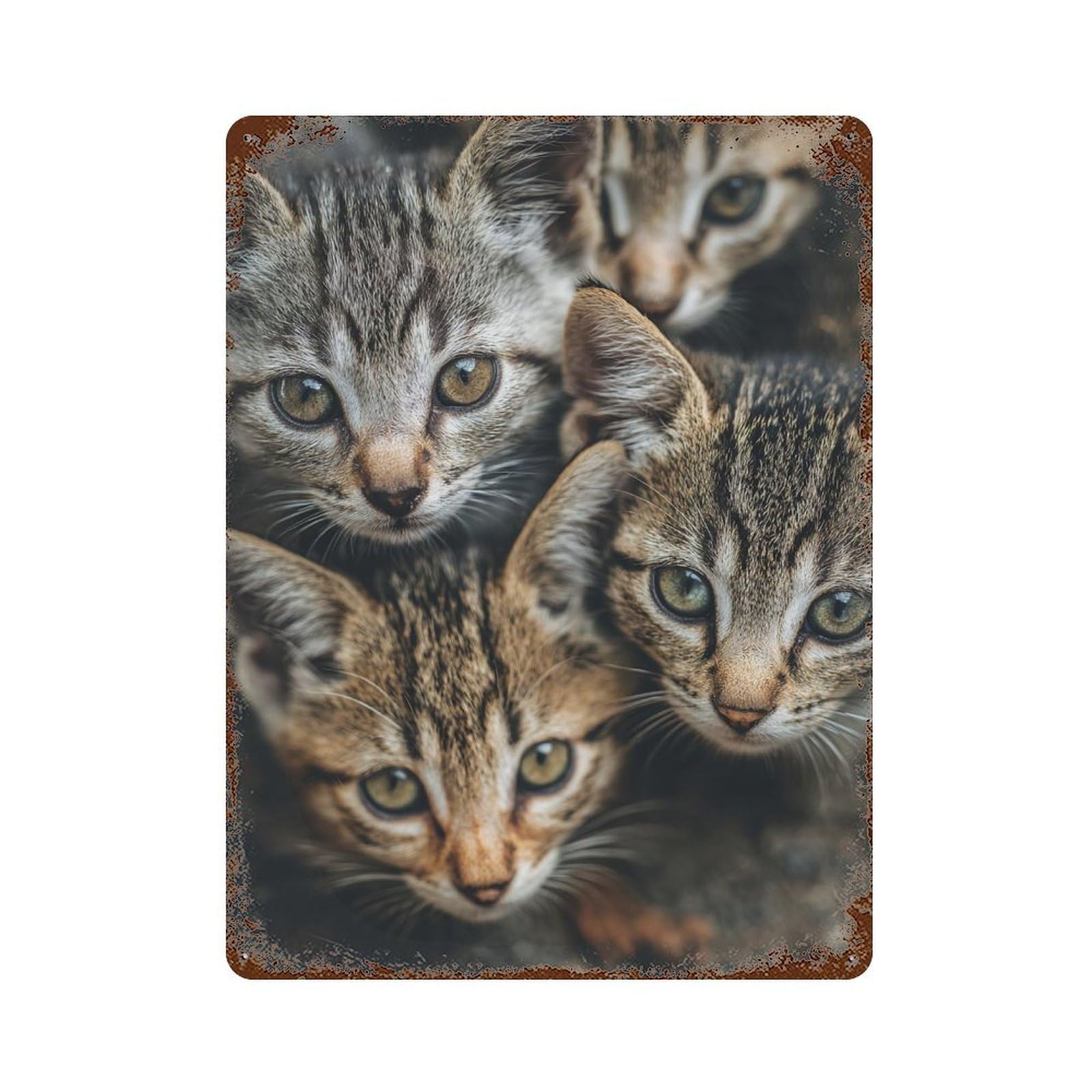 Adorable Tabby Kittens -1 Aged Metal Wall Plaque 15.7"x11.8", Classic Wall Plaque for Garage, Pub Or Kitchen