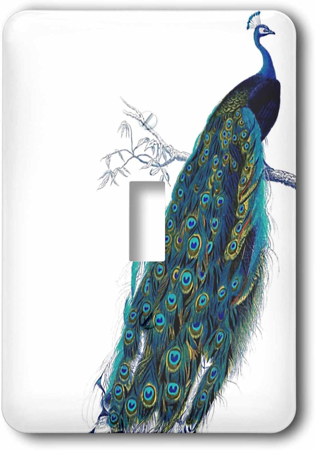 3dRose lsp_113188_1 Vintage Peacock Art Blue and Green Elegant Stylish Bird on Branch Beautiful Tail Feathers White Light Switch Cover