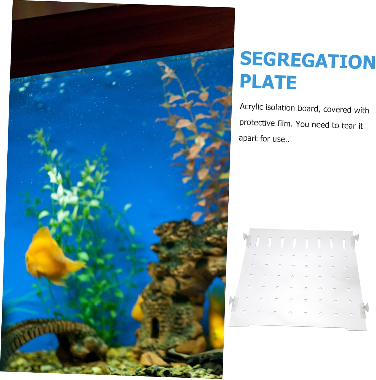 Breeder Box for Fish Tank Acrylic Separator Plate Smart Design for Easy Fish Raising