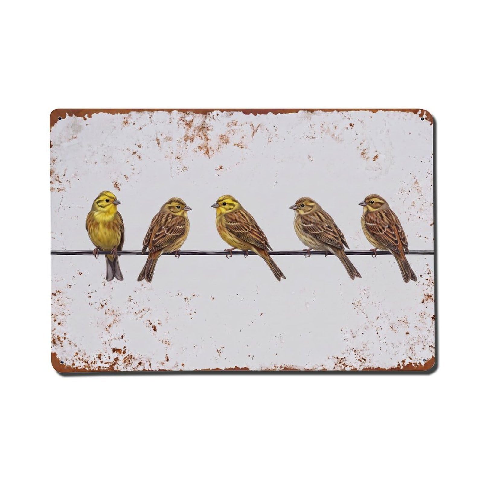 Vintage Retro Birds Yellowhammer Metal Tin Sign
