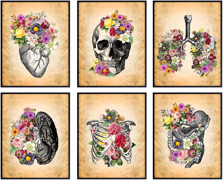 Medical Art Set - Retro Vintage Anatomical Wall Decor for Home, Doctors Office, Clinic, Med Student Dorm Room - Gift for Nurses, Physicians Assistant, PA - Floral Anatomy Shabby Chic Posters
