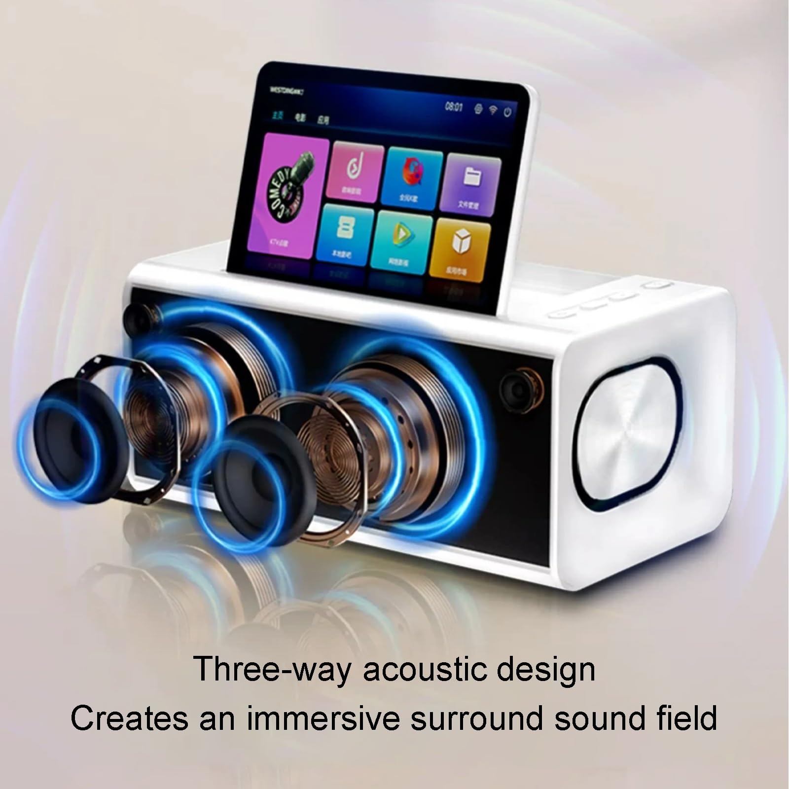 Cassa Karaoke con 2 Microfoni Wireless Schermo HD da 10,1 Pollici