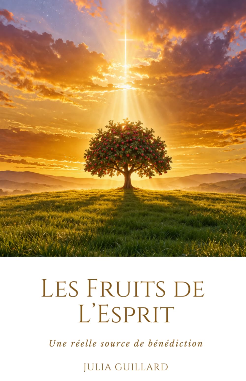 Les Fruits de l'Esprit: Une réelle source bénédiction