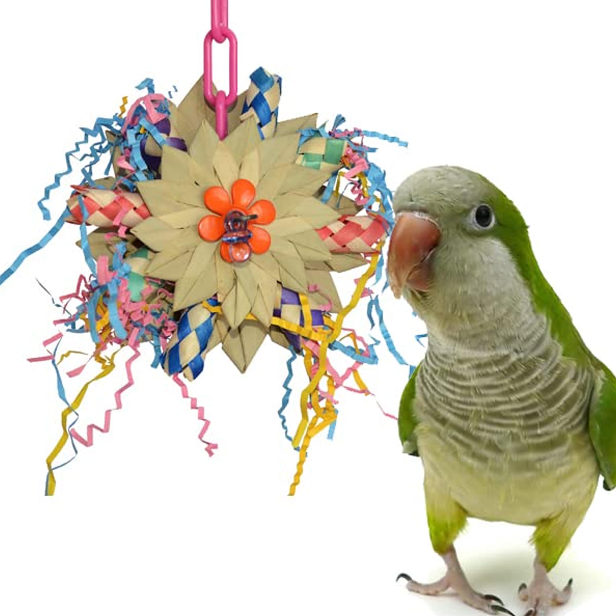 Creations Pinwheel Medium Caiques Conures Quakers Ring necks Chew