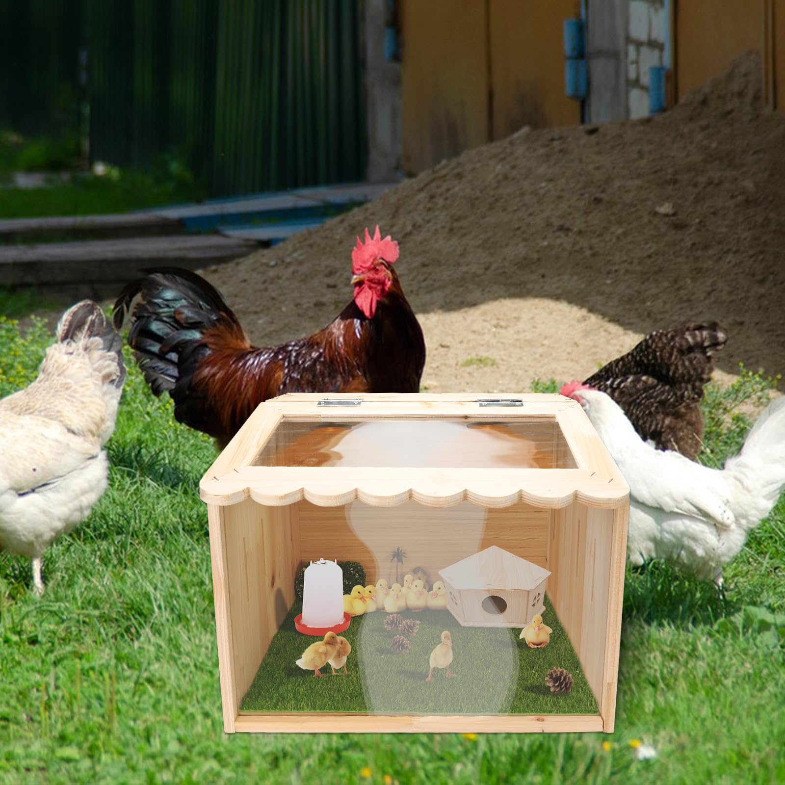 Grande gabbia per polli, 40 x 30 x 30 cm, in legno per pulcini, recinto per animali con copertura per pulcini, criceti, tartarughe, rettili