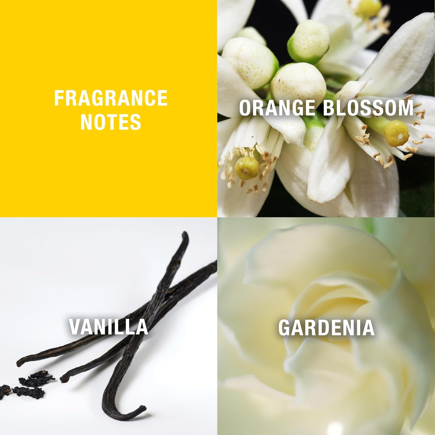 Giorgio Beverly Hills Eau de Toilette 2 Piece Fragrance Gift Set for Women, Includes EDT Spray and Body Lotion - Floral Scent, 3.0 fl oz - Image 4