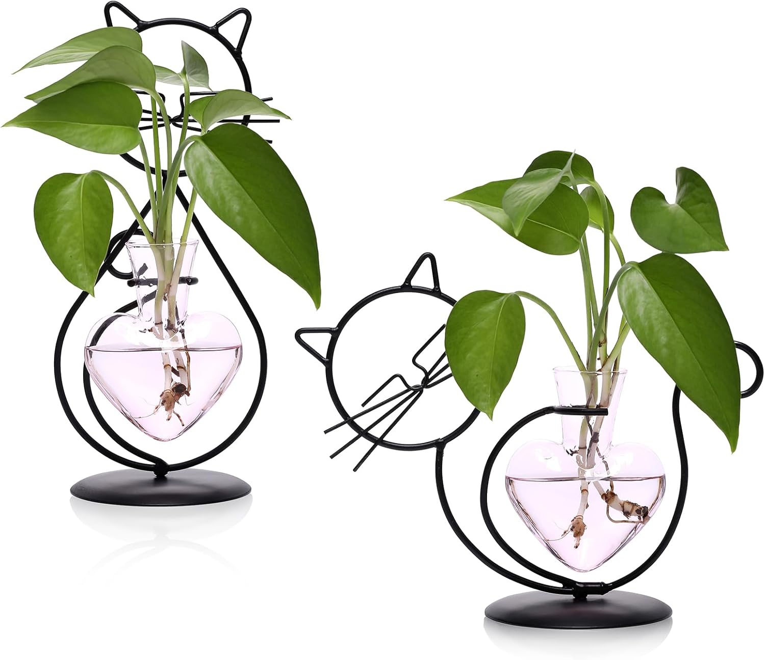 Plant Terrarium Plants Propagation Station Cat Lover Gifts for Women Home Office Decor Cat Desk Accessories