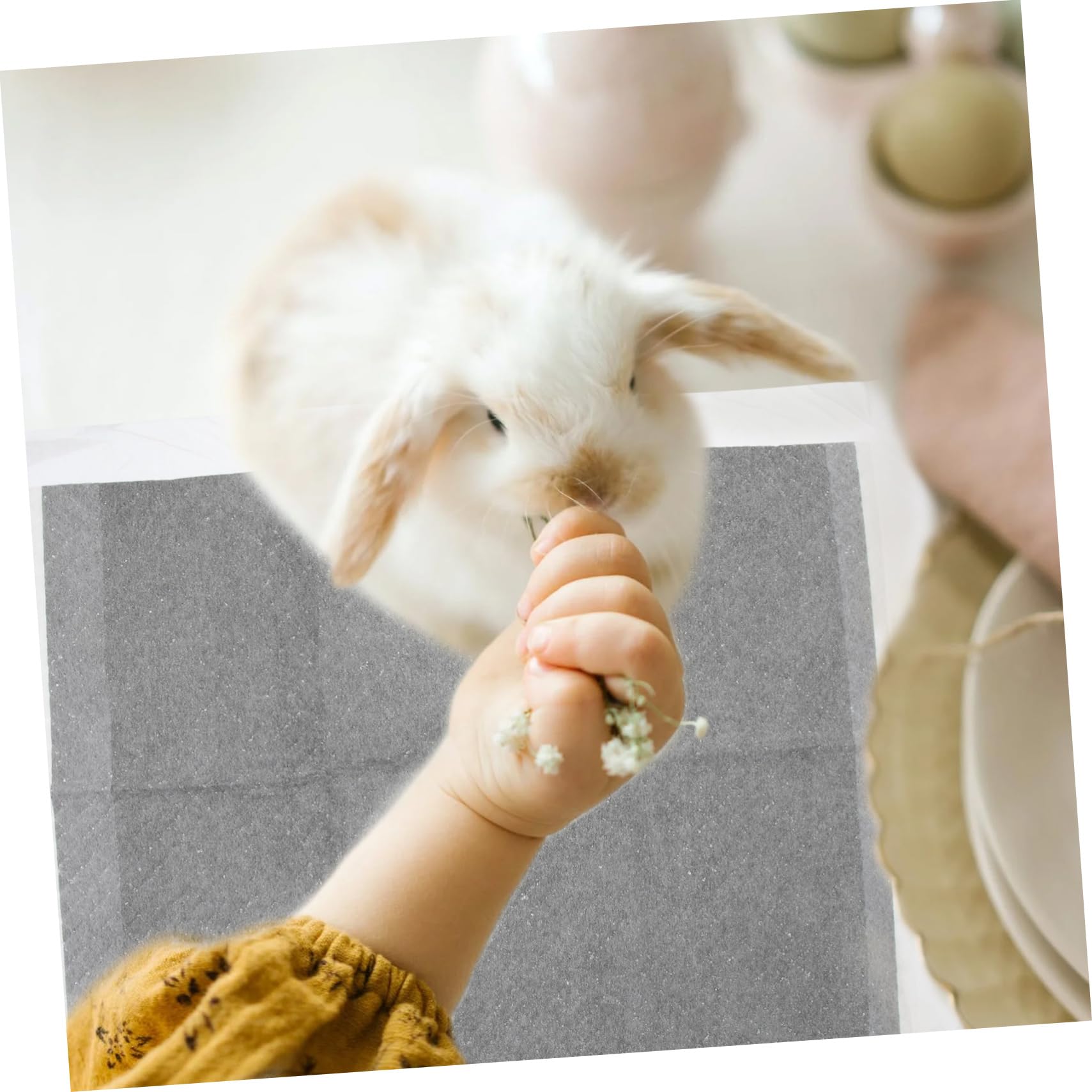 YARNOW Tappetini Assorbenti per Animali per Gabbia 100pezzi