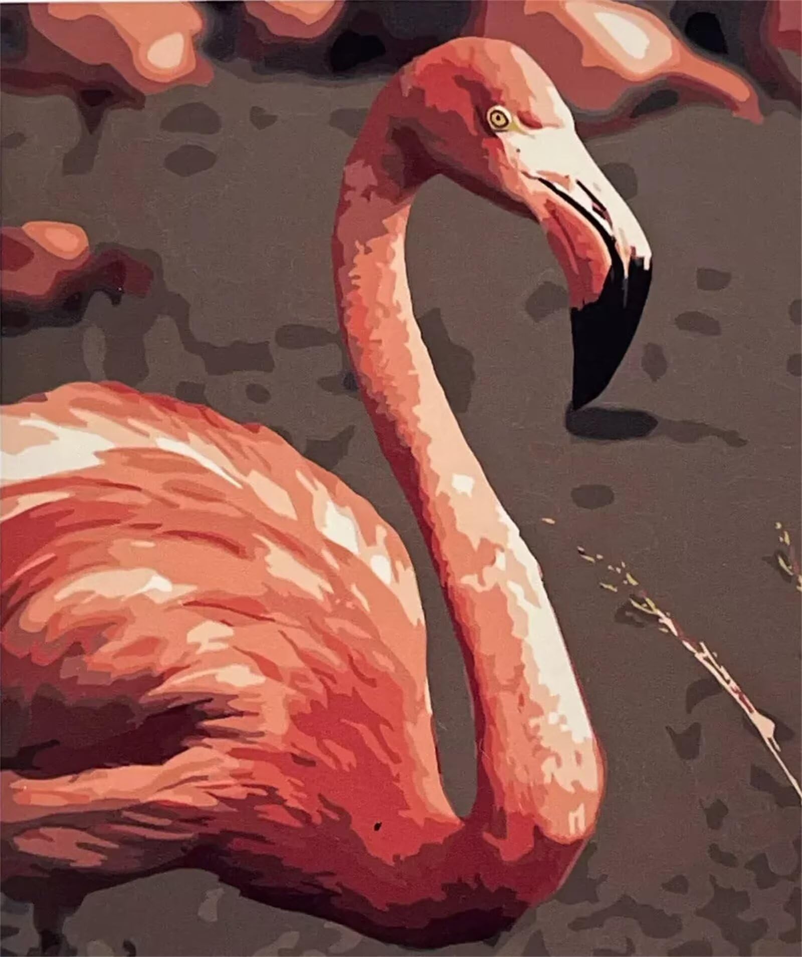 Malen nach Zahlen Erwachsene,Rosa Flamingo Malen Nach Zahlen Set für Kinder Anfänger DIY Digital Ölgemälde Kits auf Leinwand mit Pinseln und Acrylpigment ohne Rahmen für Home Wall Decor 60x75cm