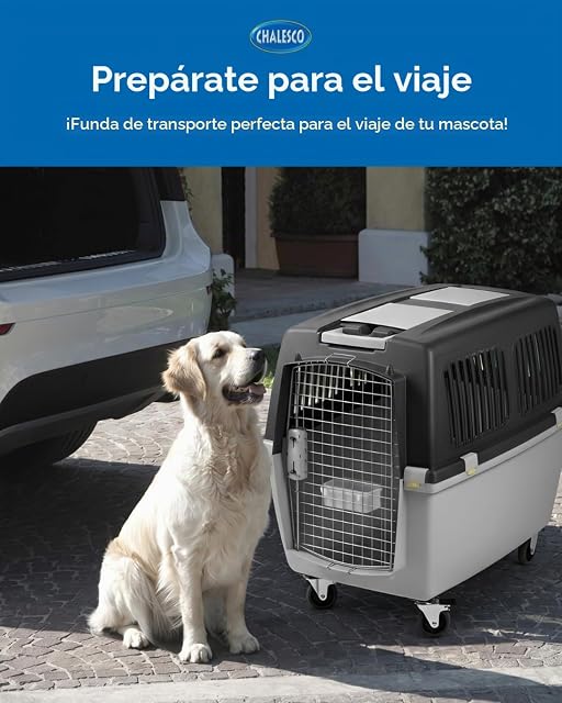 Foto 8 de 8 de TRASPORTINO GULLIVER IATA 4 cm.71x51x50h. 10410