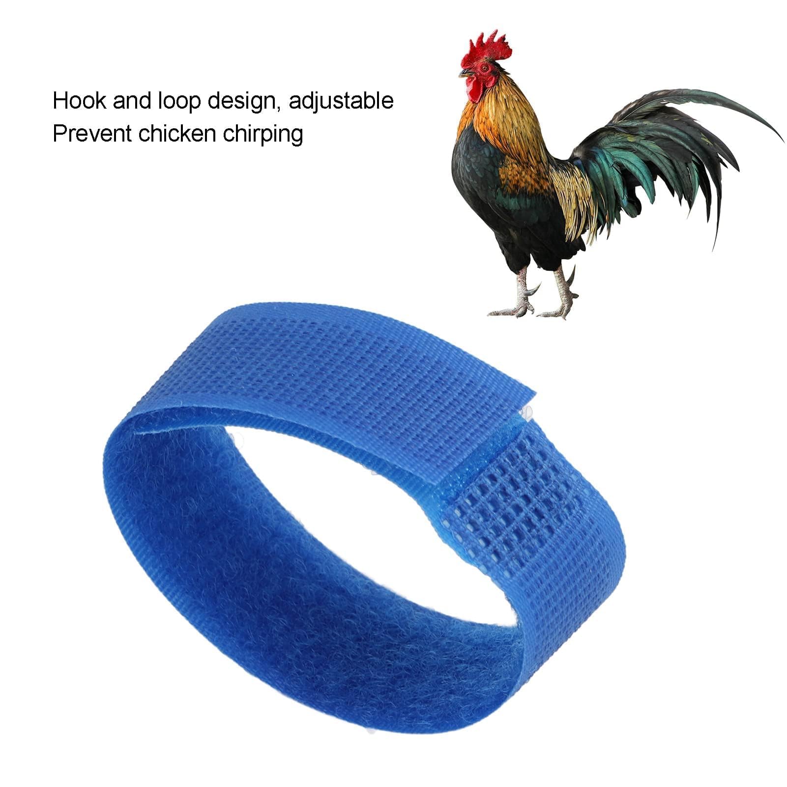 Agatige 10 Collier de Coq Réglable pour Poules, Anti-Crochets et Anti-Bruit, Bleu