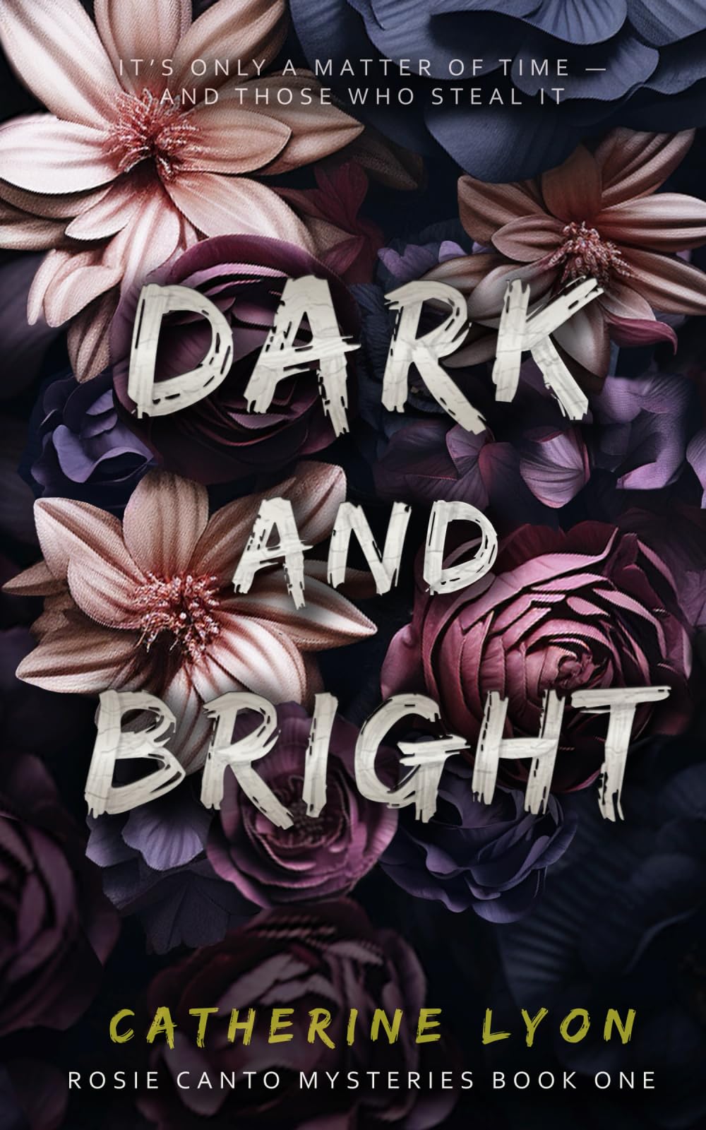 Cover of Dark and Bright