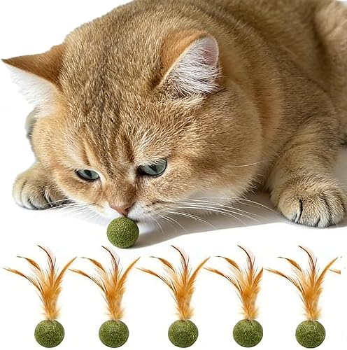5 piezas de juguetes de hierba gatera ideal para estimular el ejercicio y la interacción de los gatos