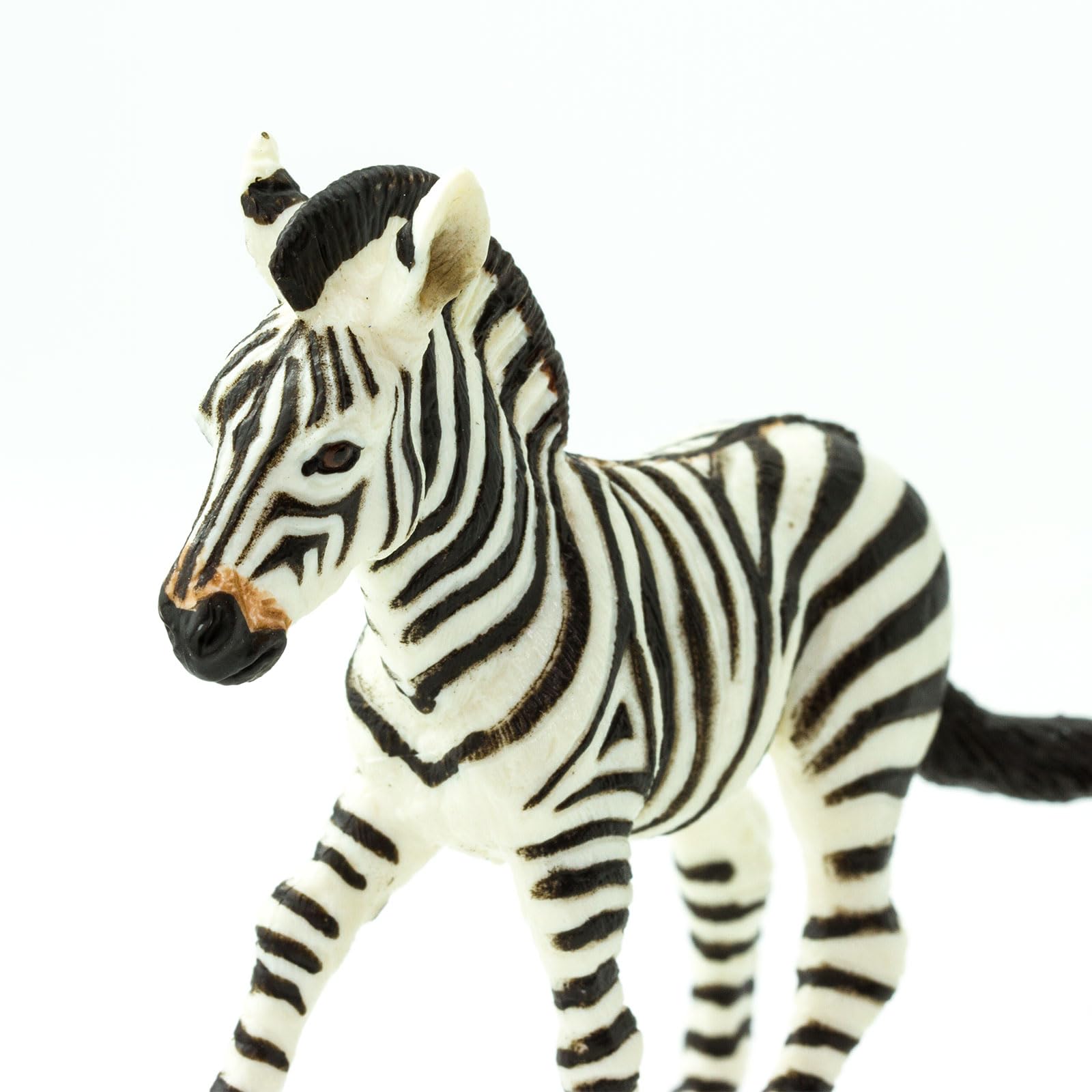 Amazon.com: Safari Ltd. Zebra Foal Figurine - Lifelike 3.5