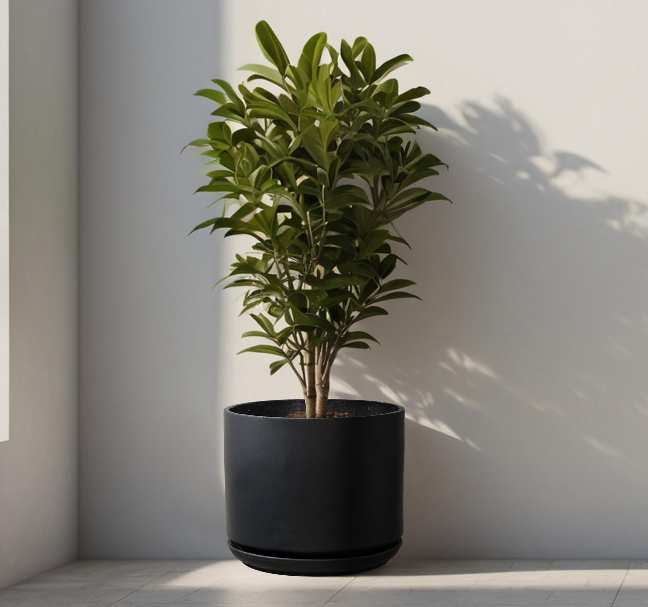 Olly & Rose Grand pot de fleurs noir mat avec soucoupe de 35,6 cm pour intérieur et extérieur