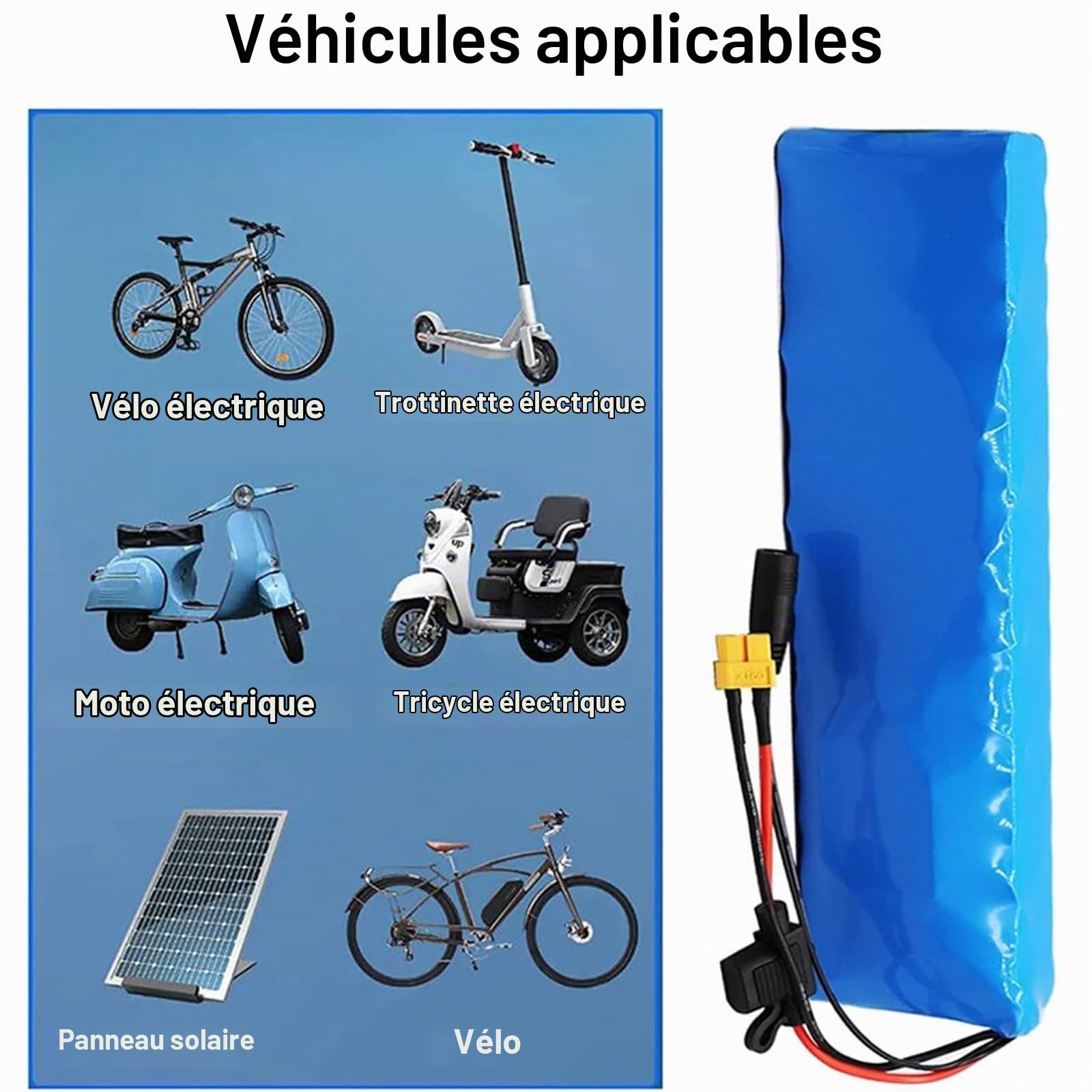 Batterie Lithium 36V 20Ah pour Vélo Électrique, Pack Batterie Lithium 10S3p,BMS 30A Intégré, avec Chargeur 42V 2A, pour Scooters 200W 350W 500W, Moteur Vélo Électrique XT60