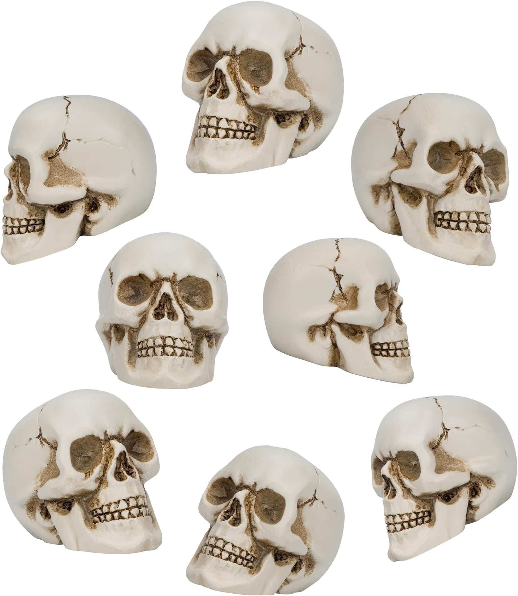 READAEER 8 Pieces Resin Skull Small Realistic Human Skull Replica Model for Home Decoration