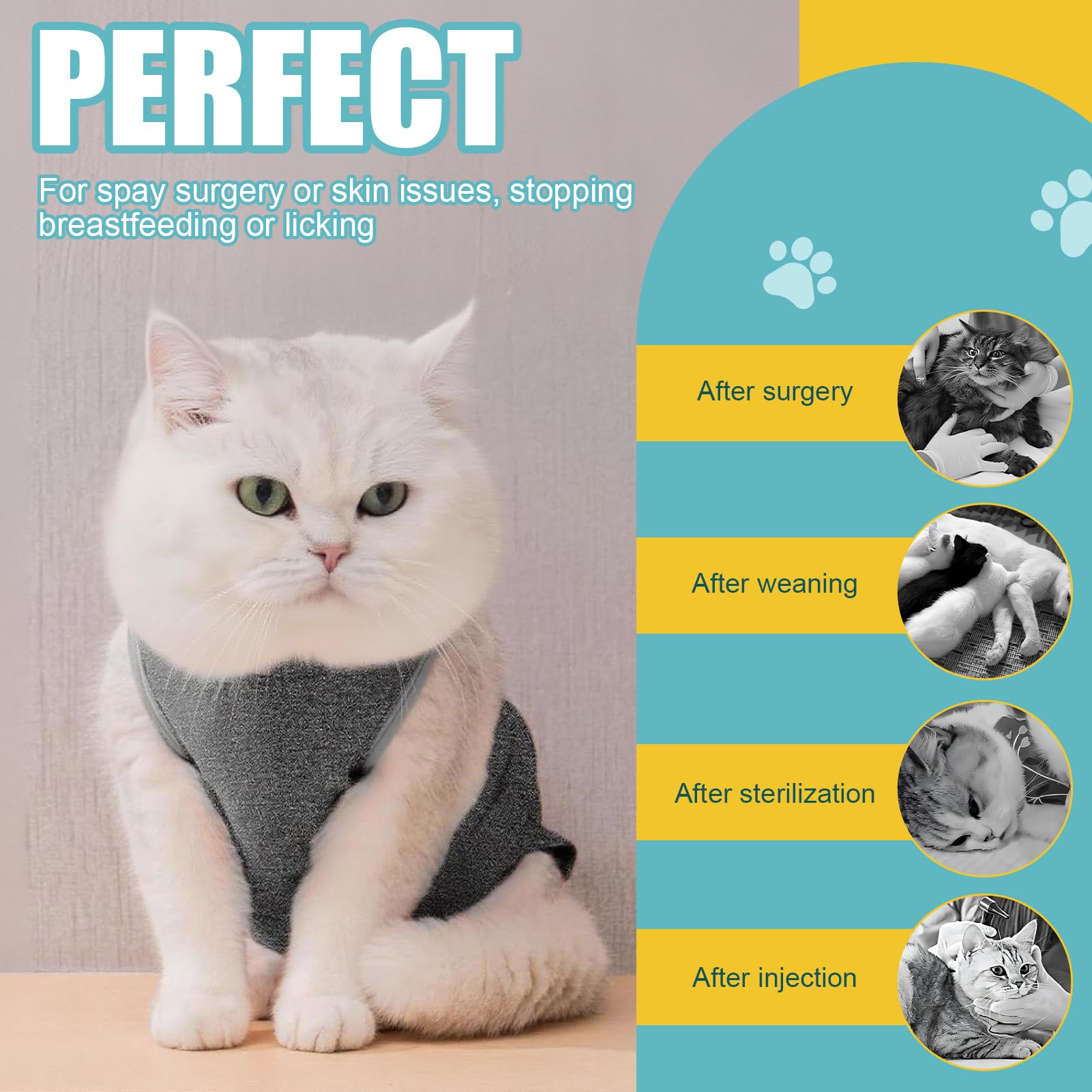 Body pour Chat après Stérilisation, Body Chat Post Opératoire pour Femelle & Mâle, Coton Doux, Protection Plaies Abdominales, Convient pour 3-5kg, Taille M - Gris