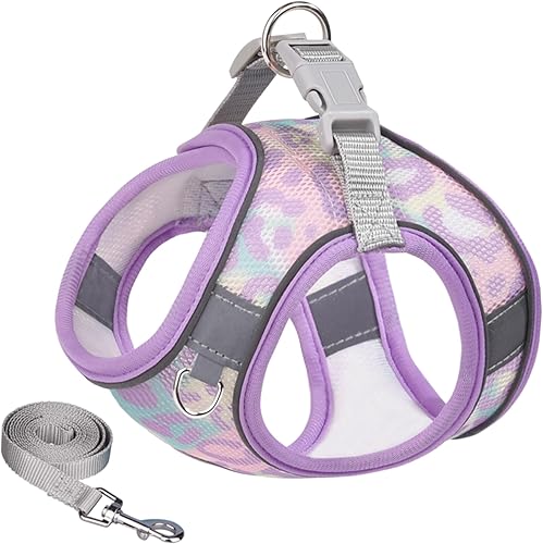JOYPAWS Step in - Juego de arnés y correa para perro, arnés de chaleco suave de verano con estampado floral, reflectante ajustable sin tirones,