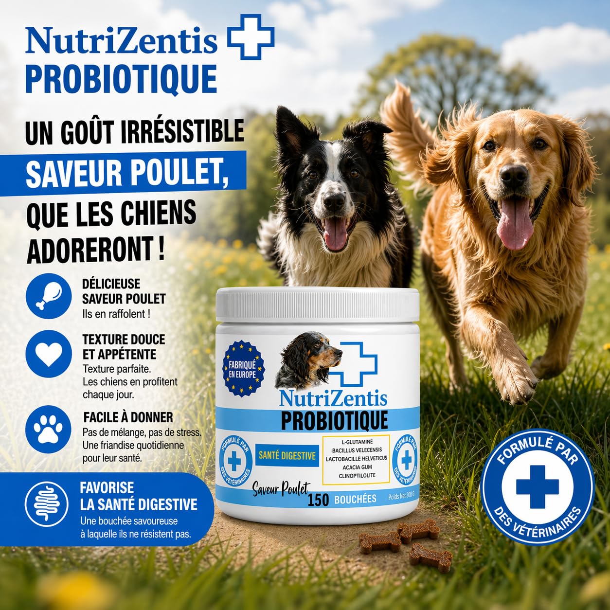 Probiotique Chien 150 Bouchées Répare la Flore intestinale du Chien, renforce Son système immunitaire, probiotiques pour Chiens | Fabriqué en Europe | 150 Bouchées au Poulet