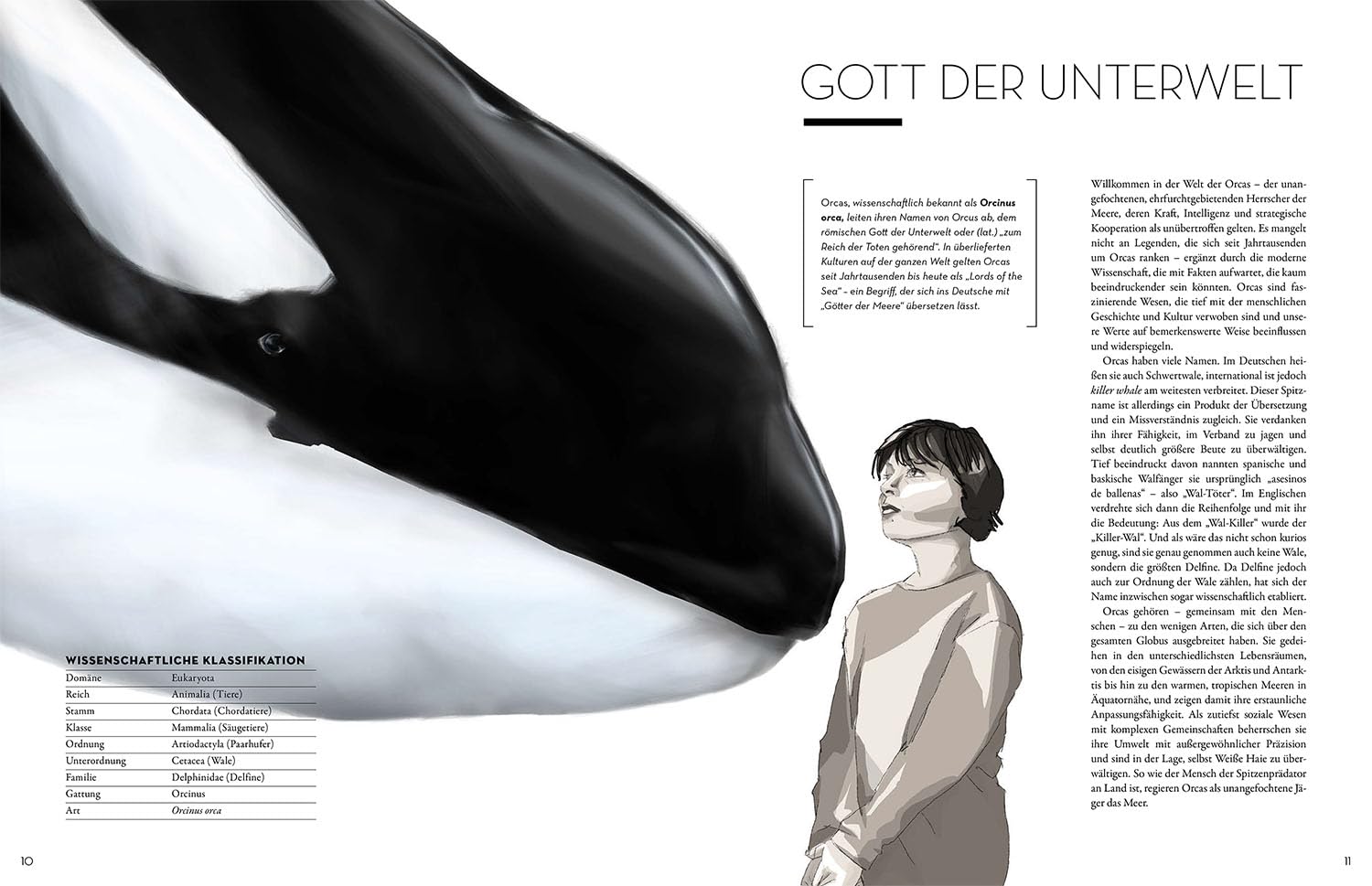Orca: Majestät der Tiefe - Eine visuelle Reise in die Welt der Orcas. Wissensfakten erklärt anhand ästhetisch-emotionaler Illustrationen. Extra: Stories über die bekanntesten Orcas aller Zeiten.