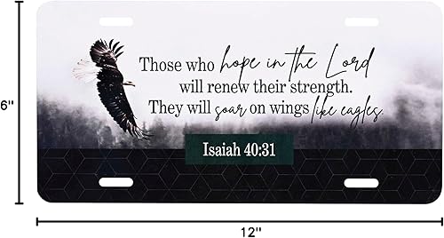 Miniatura 3 de Dicksons LP-1033 Renew Their Strength Marco decorativo de aluminio para placa de matrícula de 12 x 6 pulgadas