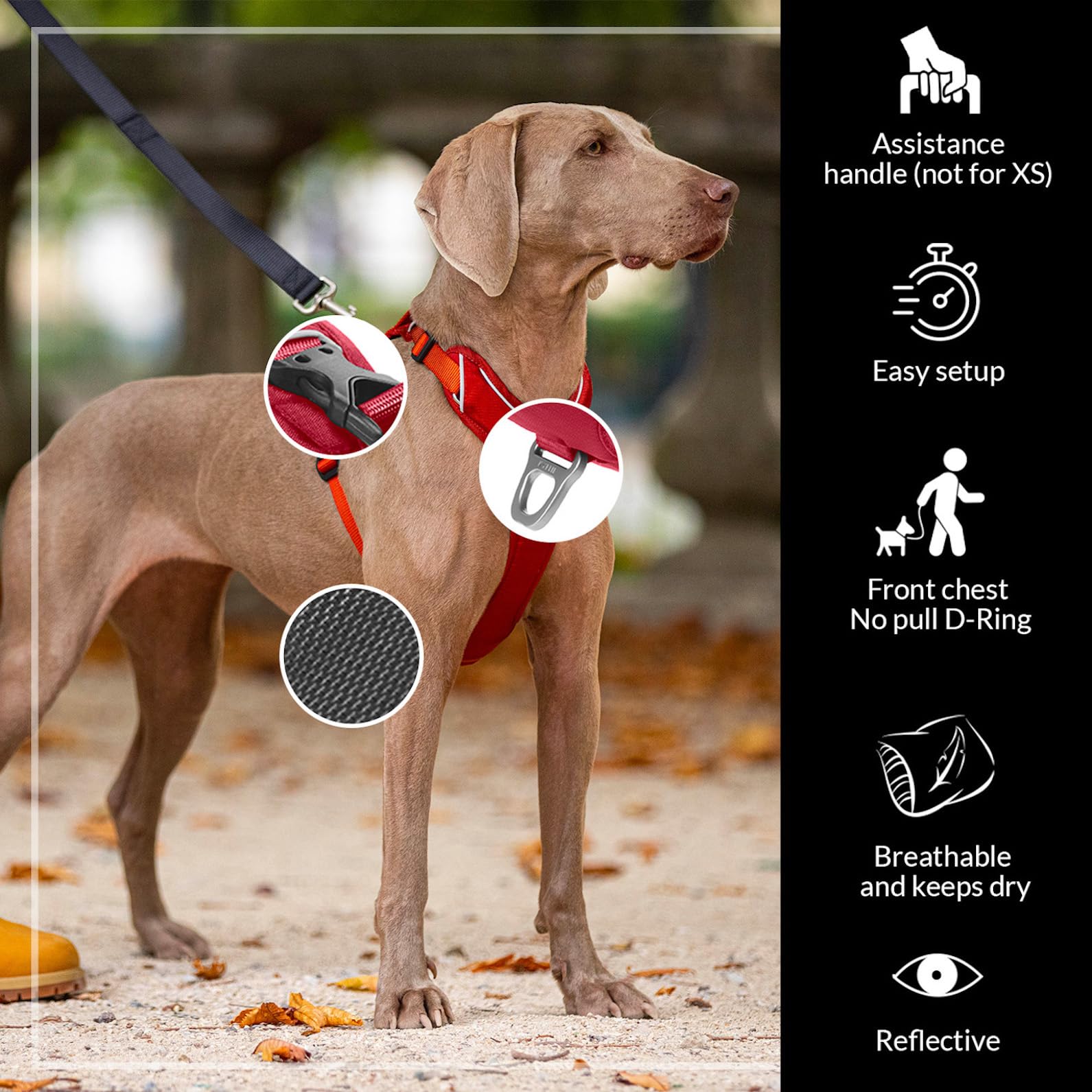 KYFLIE, No-Pull Reflective Dog Harness for Training & Daily Walks, Adjustable & Breathable Y Harness - Image 2