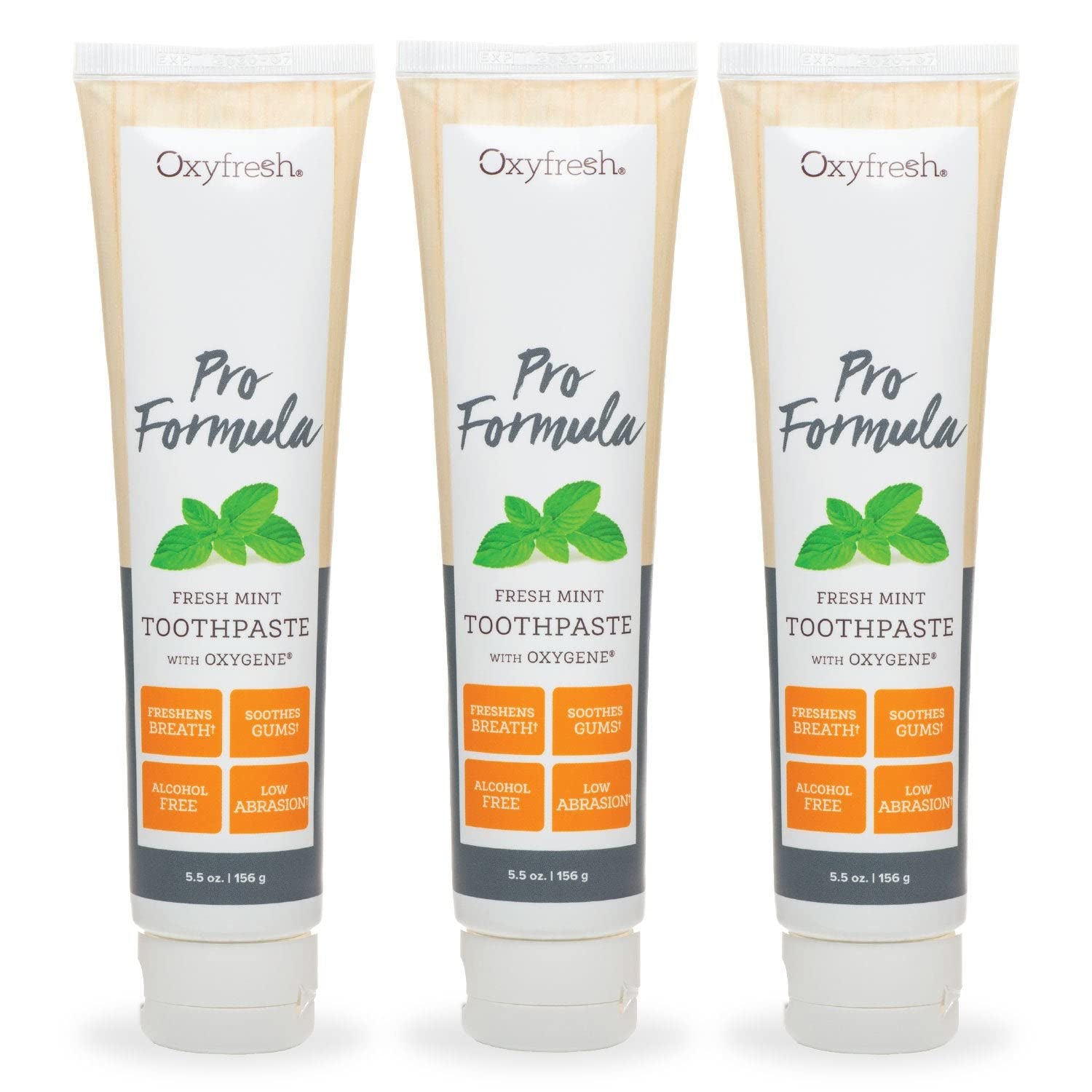 Oxyfresh Pro Formula Fresh Mint Toothpaste Gentle Low Abrasion - Cosmetic Fluoride Free - for Bad Breath Sensitive