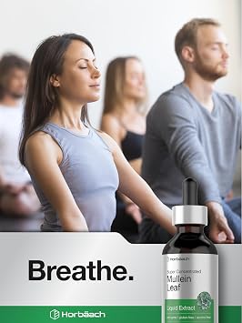 Horbaach Mullein Leaf Extract Drops | 2 fl oz