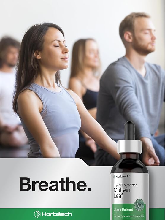 Horbaach Mullein Leaf Extract Drops | 2 fl oz