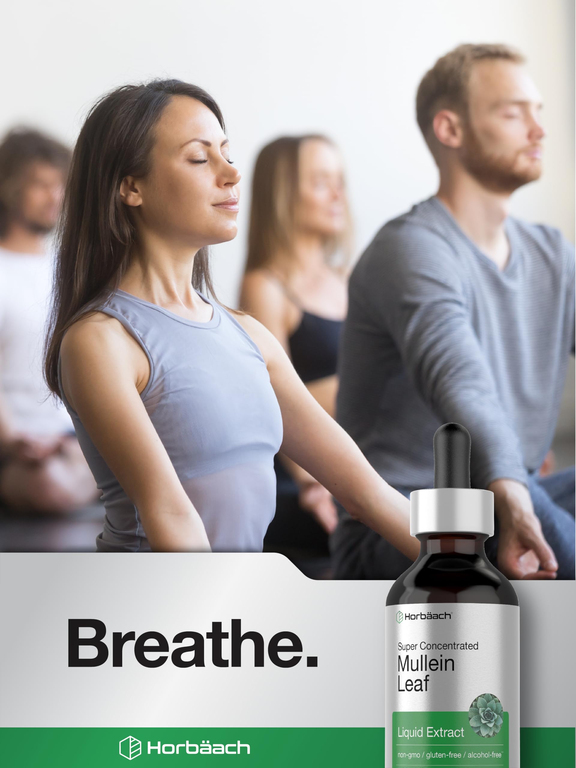 Horbäach Mullein Leaf Extract Drops | 2 fl oz — Amazon image 6