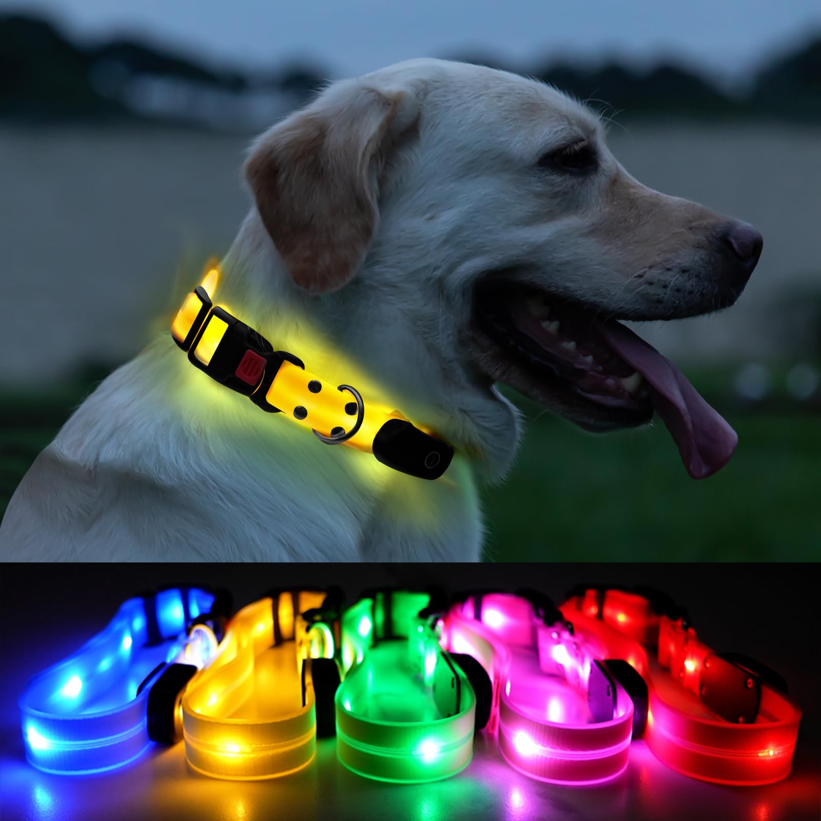 ROUWINNE Lighted LED Dog Collars For Night Walking