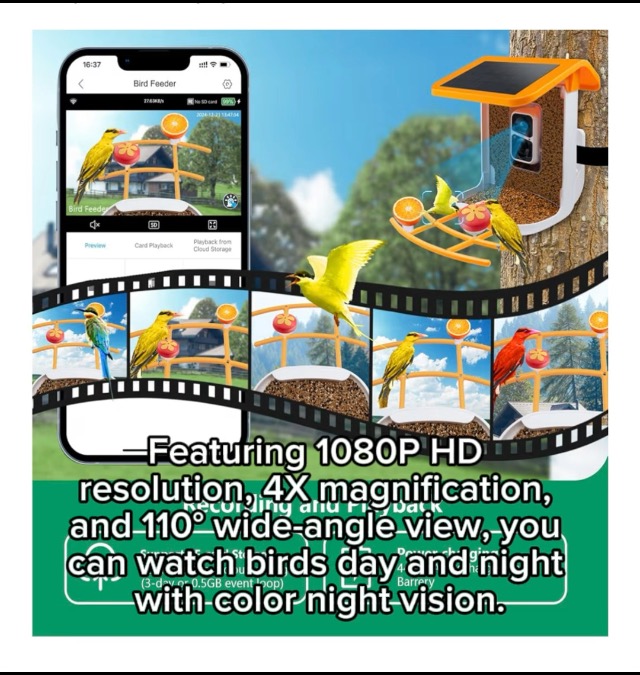 Watch Smart AI Bird Feeder with 1080P Live View #ad on Amazon Live