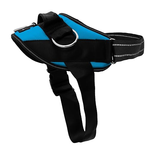ShawnCo Essential Dog Harness, No-Pull Pet Vest with 3 Leash Clips, No Choke, Reflective, Adjustable and Padded, for Easy Walking and Training for Small, Medium and Large Dogs (Oceanic Blue, S)