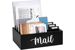 Supremely Organized 4-Slot Mail Organizer