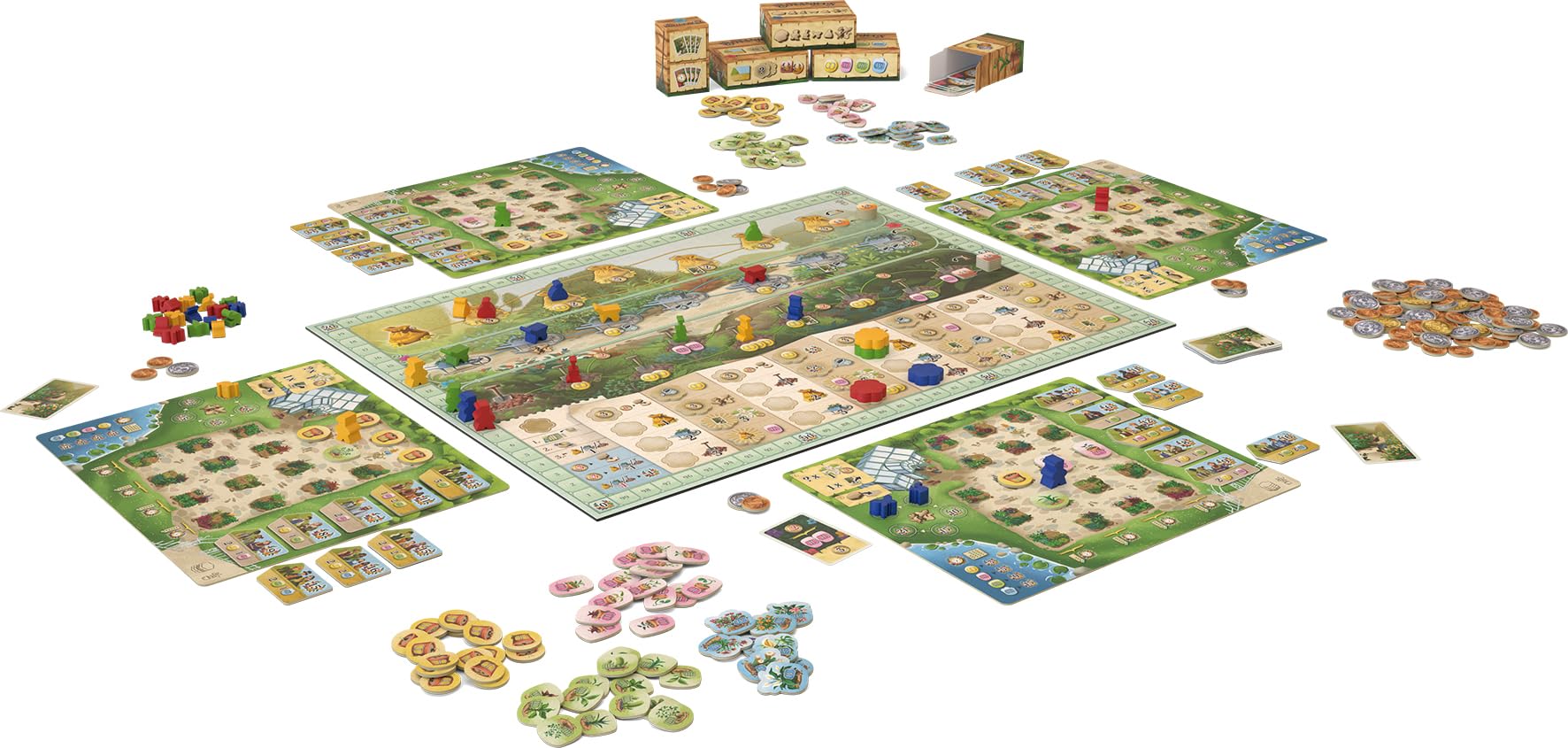 Asmodee - Hans im Glück - BOTANICUS - Jeux de société - Jeux de Plateau - Jeu Famille et Enfants à partir de 10 Ans - 2 à 4 Joueurs - 45 Min - Version française