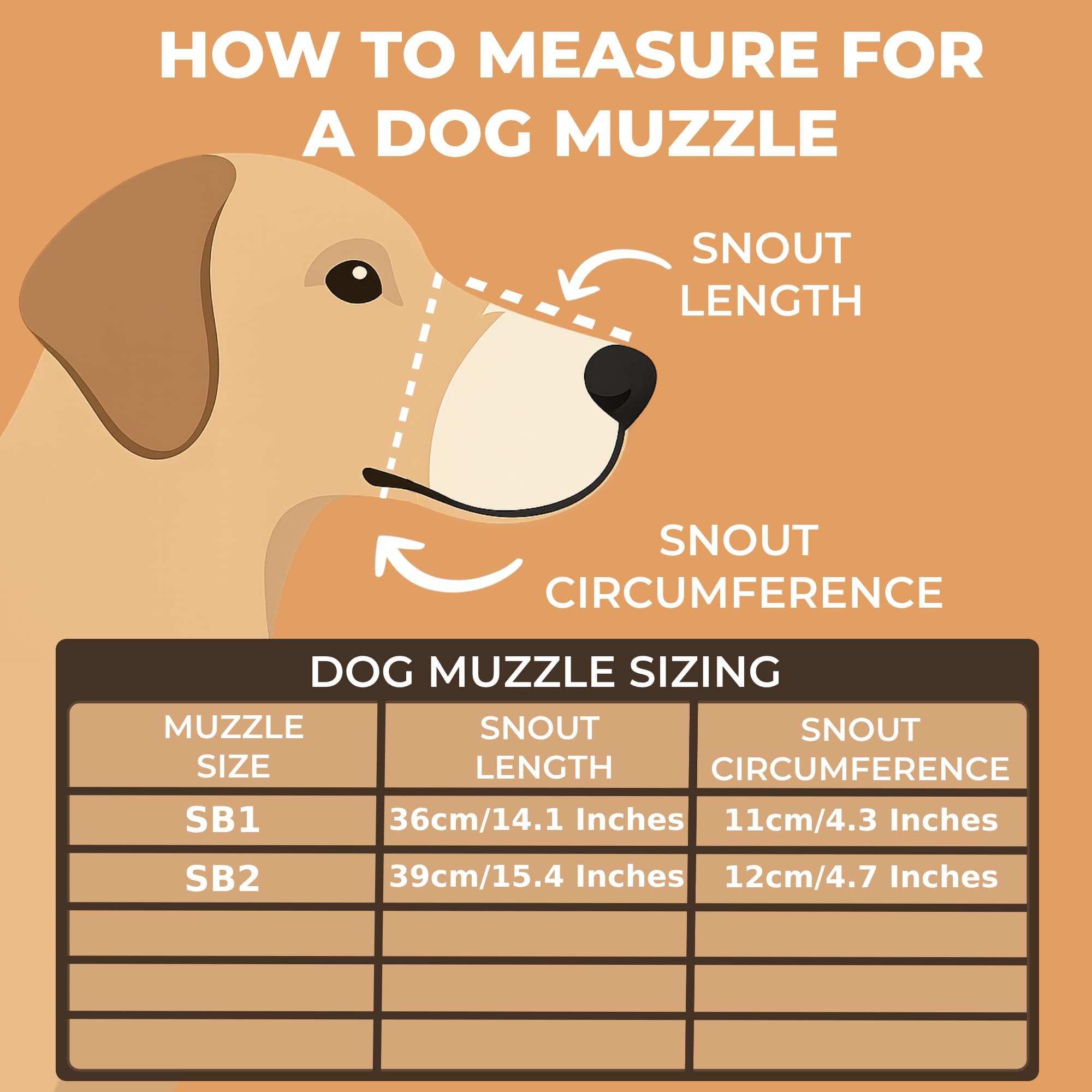 Grande muselière pour chien en cuir et métal | Compatible avec Amstaff, Pitbull, Staffy | Métal robuste – Cuir confortable (SB2, caoutchouc argent/noir)