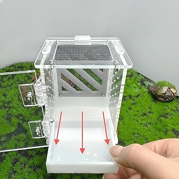 Amazon | haoyunshengyi カマキリ飼育箱 飼育容器アクリル