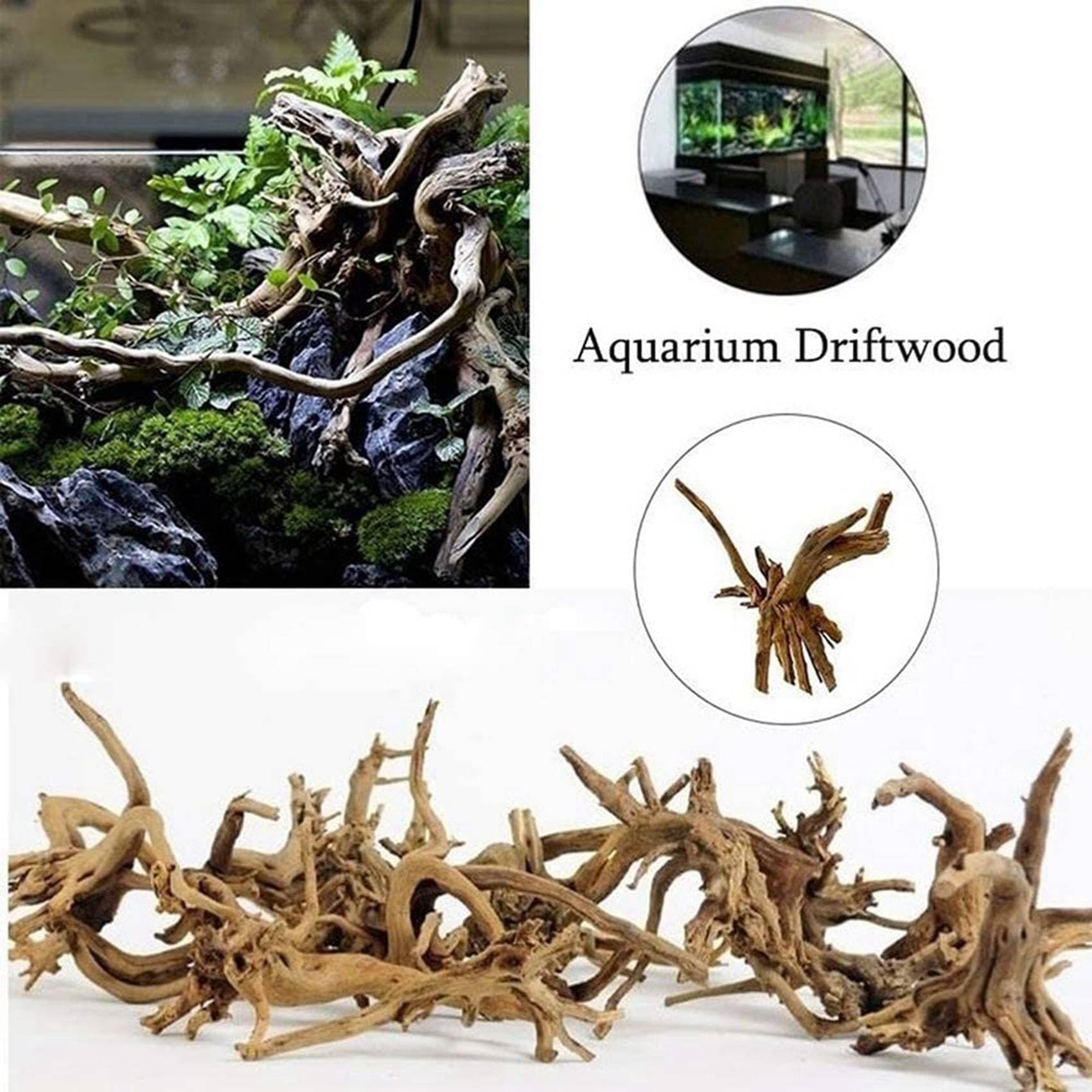 LAXED Mini Driftwood per acquario, rami di legno naturale, decorazioni per acquari, rettili, d'albero in legno naturale, confezione da 10