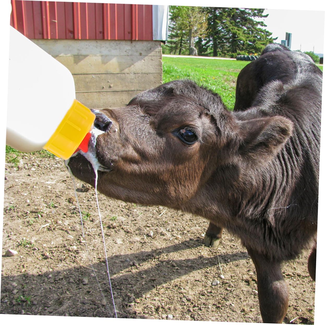 1set Reusable Goat Milk Feeding Bottles Pacifiers Lamb Nursing Bottles for Calves Goats and Animals Lightweight and Easy to Clean