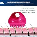 Renesmee Scalp Manual Massager Shampoo Brush, Hair Scrubber, Hair Washing Brush Scalp Exfoliator for Dandruff, Head Scrubber for All Hair Types of Women, Men, Pack of 1, Pink gallery image