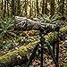 Rolanpro Waterproof Lens Camouflage Cover for Nikon Z 800mm F6.3 VR S - Camouflage Rain Cover Lens Protective Sleeve Easy Installation # 9