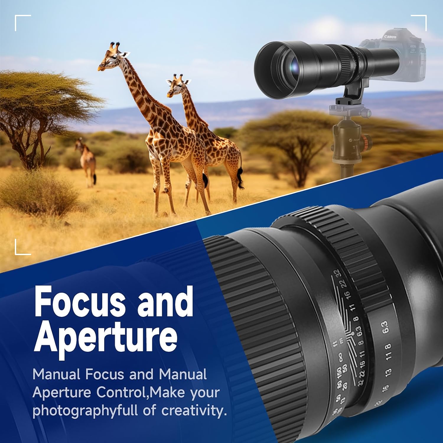 JINTU 500mm-1000mm f/6.3 Manual Telephoto Lens for Canon EOS Rebel T8i/T7i/T7/T6i/T5/T3i/T2i/XSi/SL3/SL2/T100/90D/80D/70D/60D/5D Mark IV/6D II/7D II/1D X III II 4000D 550D 650D SLR Camera Lenses