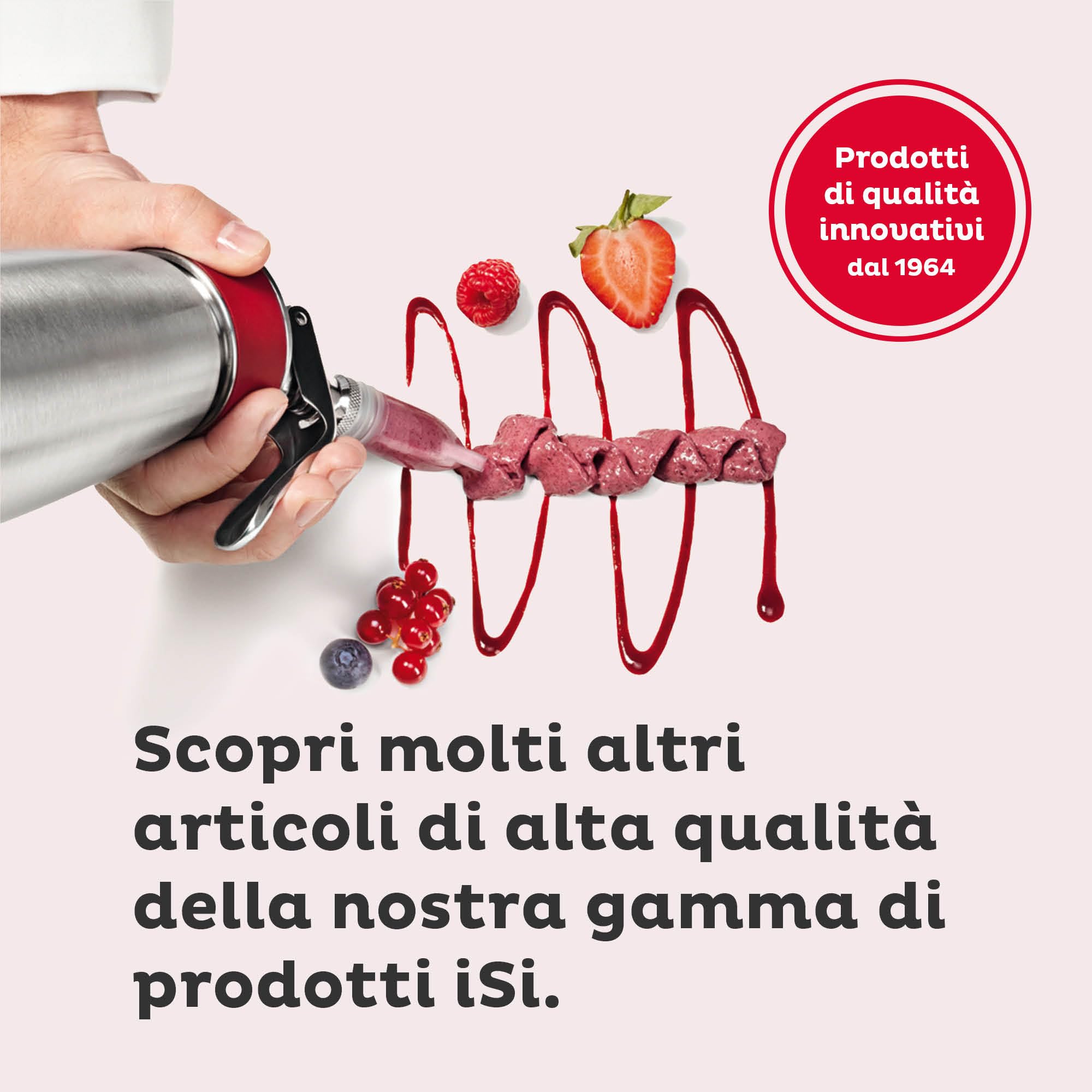 iSi Set di Accessori per sifone da Panna con 3 beccucci in Acciaio Inox + Imbuto da 750ml + setaccio + 50 Capsule per Panna - Compatibile con Gourmet Whip, Thermo Whip & Cream Profi Whip