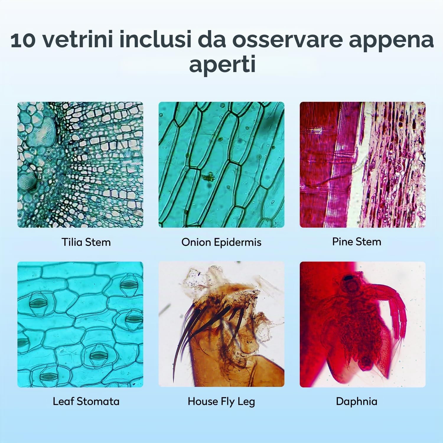 Microscopio per bambini adulti, MatataStudio MT3-4 1200 microscopio biologico professionale con schermo da 7" 1080P, calibro a corsoio portatile da 5 MP, microscopio digitale USB, per laboratorio