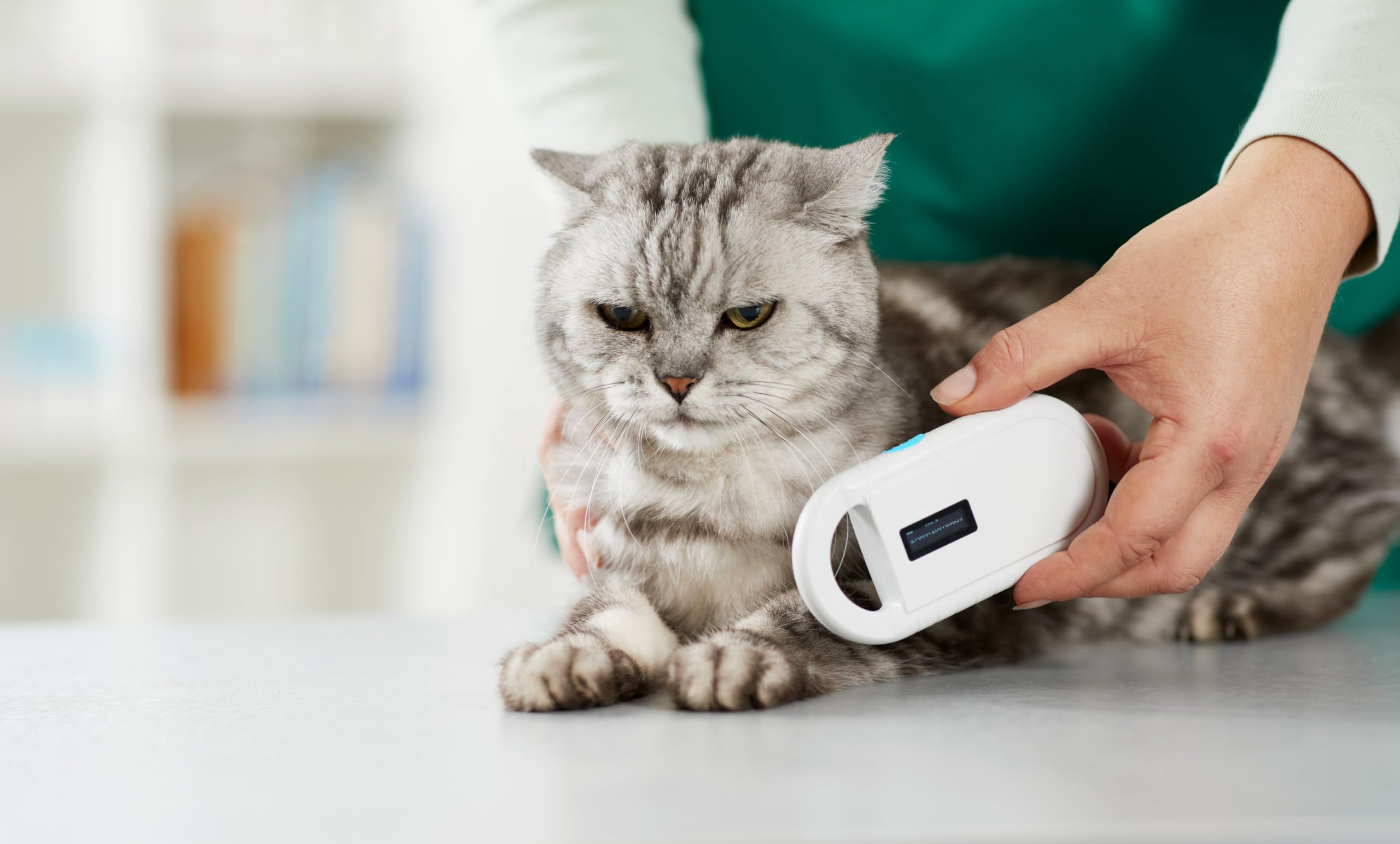 Lecteur de puce animale lecteur de chiple pour animaux, puce RFID micropuce animale transpondeur ISO pour identifier les animaux