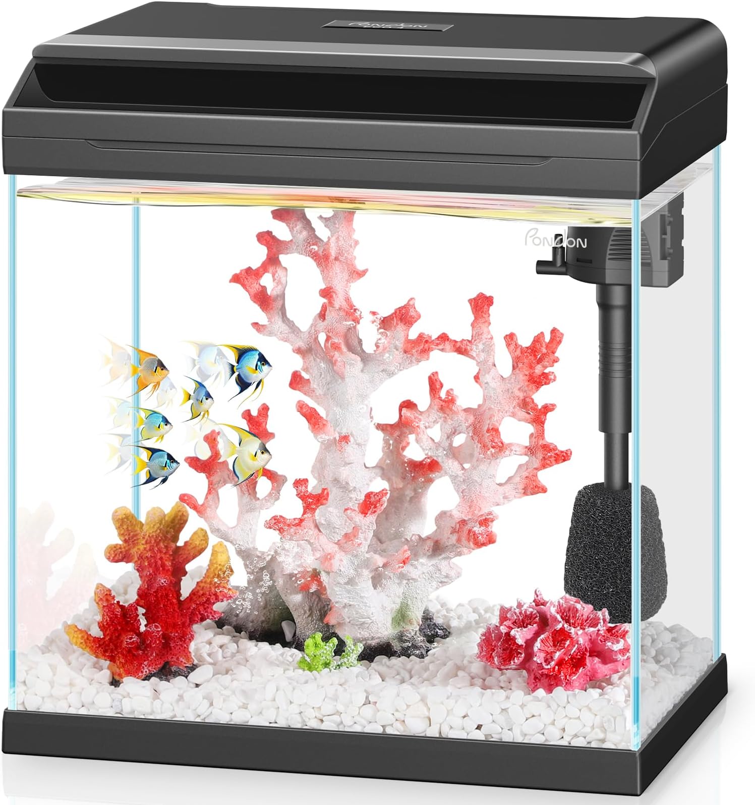 PONDON 4 Gallon Fish Tank Pro