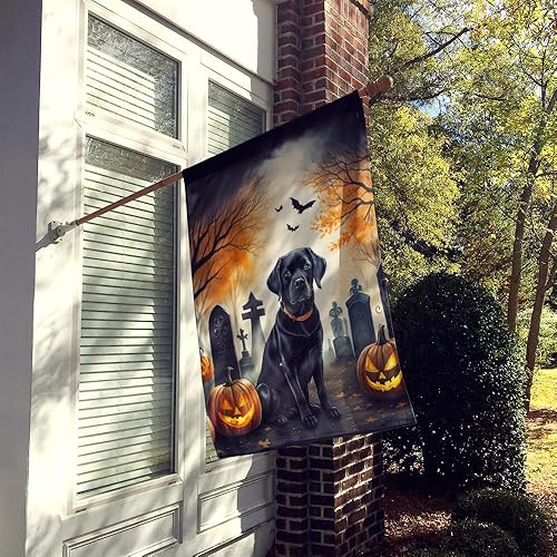 Miniatura 25 de Caroline's Treasures DAC2011GF - Bandera decorativa para jardín de Halloween con diseño de beagle para jardín, jardín, jardín, jardín, multicolor